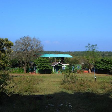 Aarraams Farms & Resorts Masinagudi Bagian luar foto