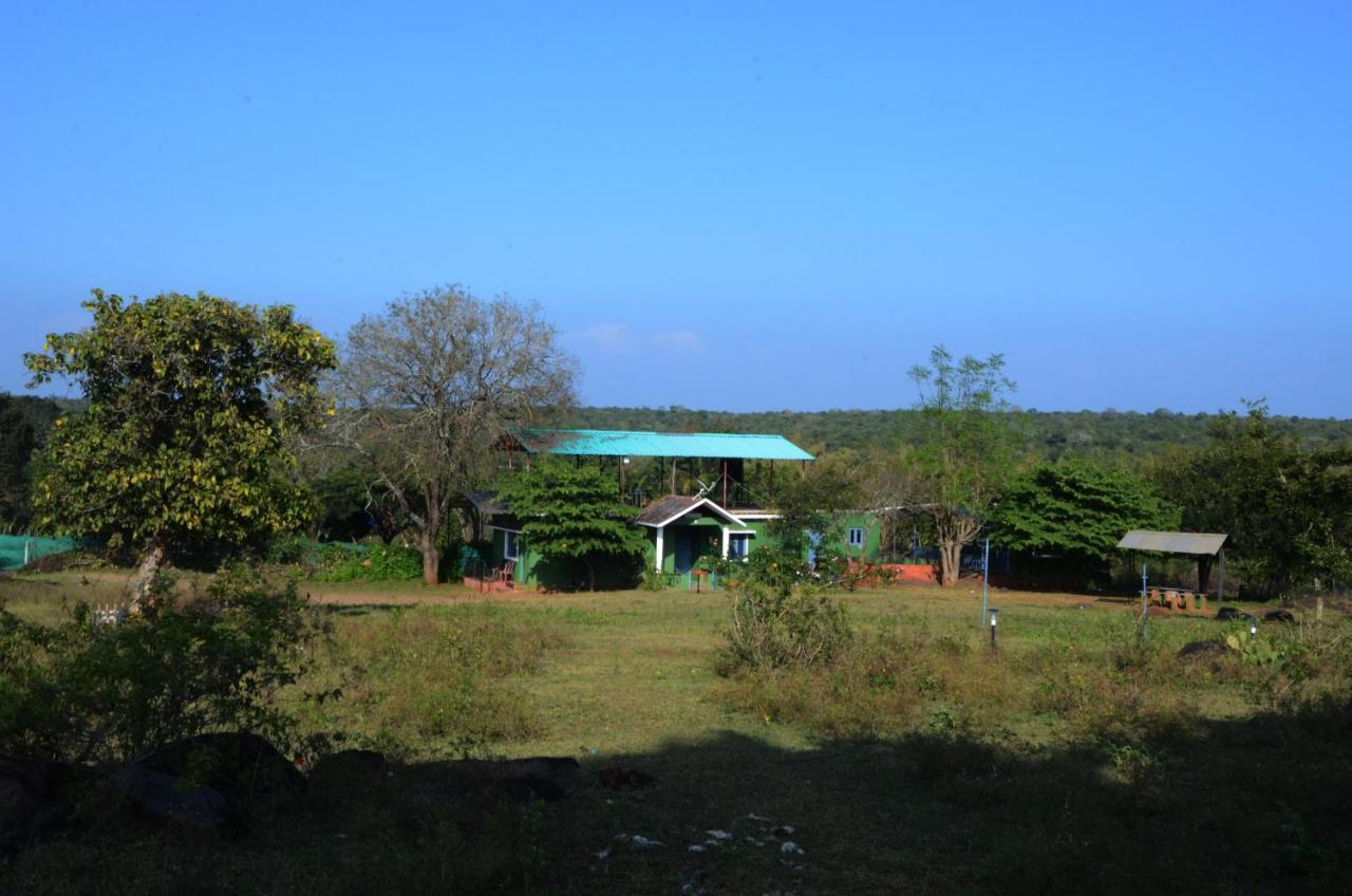 Aarraams Farms & Resorts Masinagudi Bagian luar foto