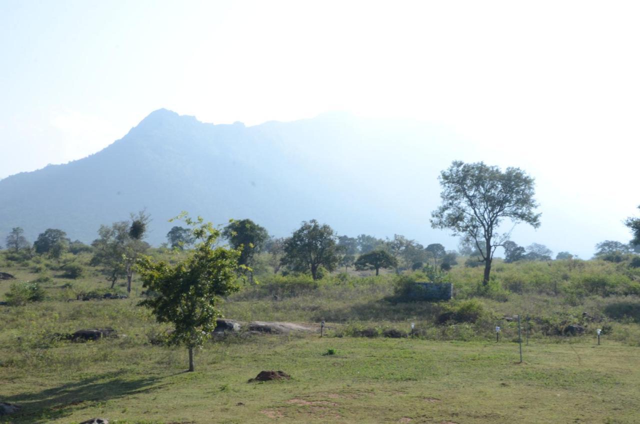 Aarraams Farms & Resorts Masinagudi Bagian luar foto