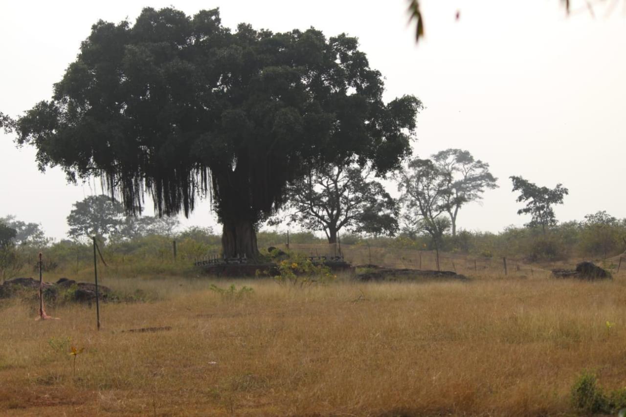 Aarraams Farms & Resorts Masinagudi Bagian luar foto